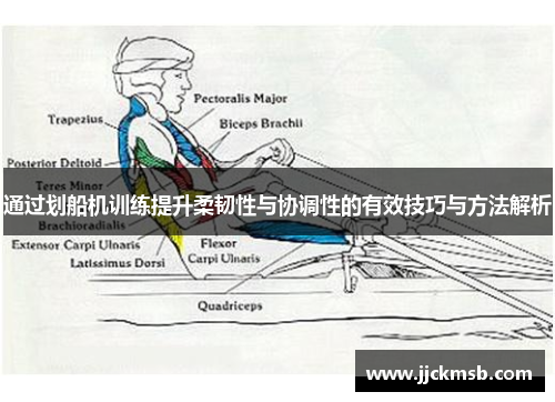 通过划船机训练提升柔韧性与协调性的有效技巧与方法解析