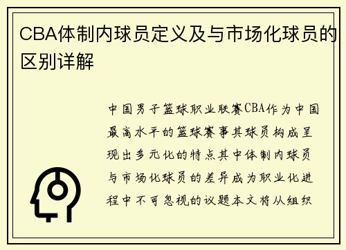 CBA体制内球员定义及与市场化球员的区别详解